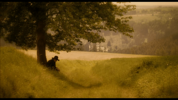 Photo vieux magicien sous un arbre